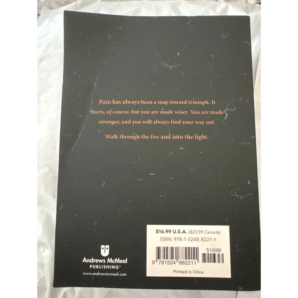 This Day Is Dark by r.h. Sin Poetry Book 2023 Andrews McMeel Publishing